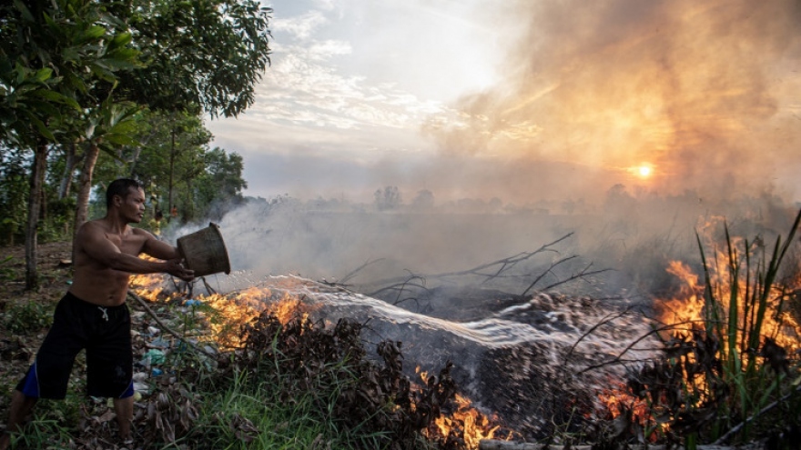 Indonesia “gồng mình” đối phó tình trạng cháy rừng vì El Nino