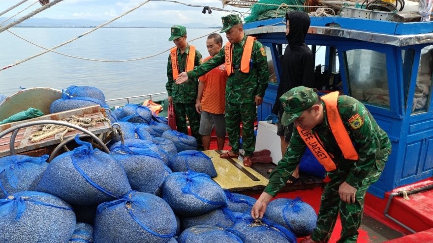 Quảng Ninh: Bắt giữ, xử lý 7 tàu đánh cá khai thác thủy sản sai quy định