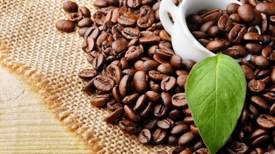 Vietnamese Robusta coffee exports to Japan record double-digit growth