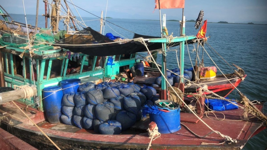 Quảng Ninh đề nghị xử phạt 125 triệu đồng 4 tàu cá hoạt động sai vùng