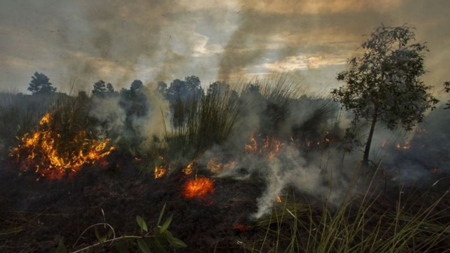 Indonesia khẳng định minh bạch trong giải quyết lo ngại khói mù xuyên biên giới