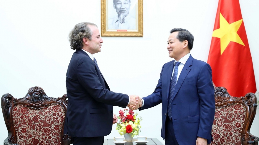 Phó Thủ tướng Lê Minh Khái tiếp Giám đốc điều hành Tập đoàn Rosen Partner LLC