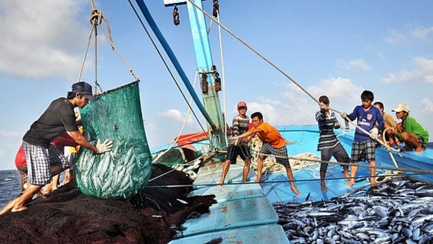 Thủ tướng yêu cầu thực hiện các giải pháp chống khai thác hải sản bất hợp pháp