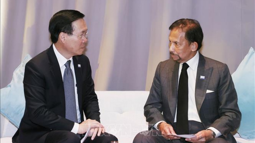 Chủ tịch nước Võ Văn Thưởng gặp Quốc Vương Brunei Hassanal Bolkiah