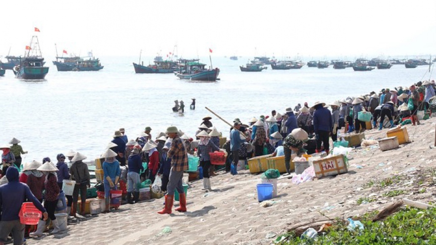 Thương lái tấp nập mua bán ở chợ cá Giao Hải, Nam Định từ sáng tinh mơ