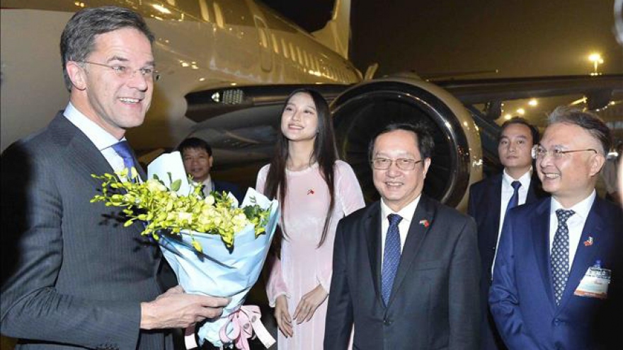 Thủ tướng Vương quốc Hà Lan đến Hà Nội, bắt đầu thăm chính thức Việt Nam