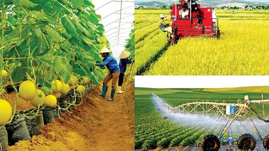 Doanh nghiệp đồng hành trong đào tạo nhân lực nông nghiệp chất lượng cao