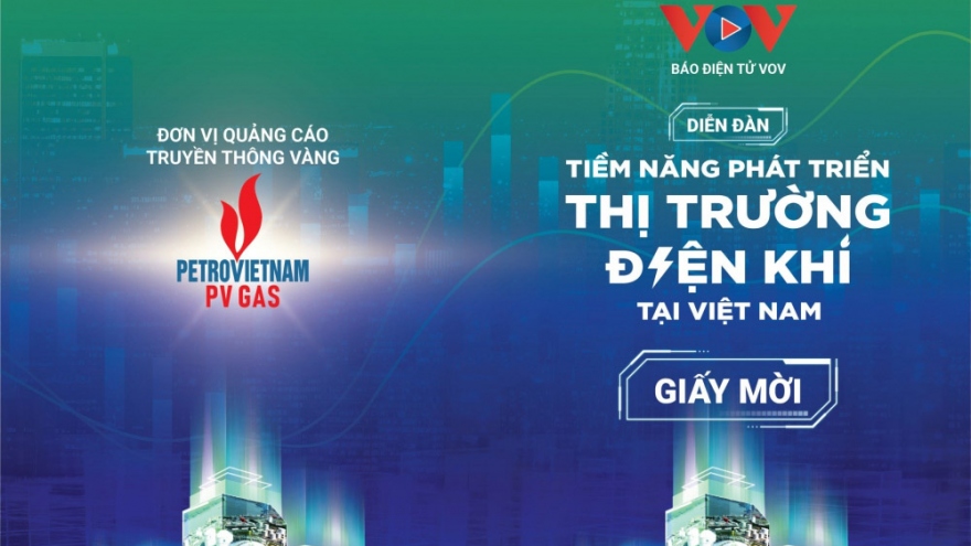 Diễn đàn “Tiềm năng phát triển thị trường điện khí tại Việt Nam"