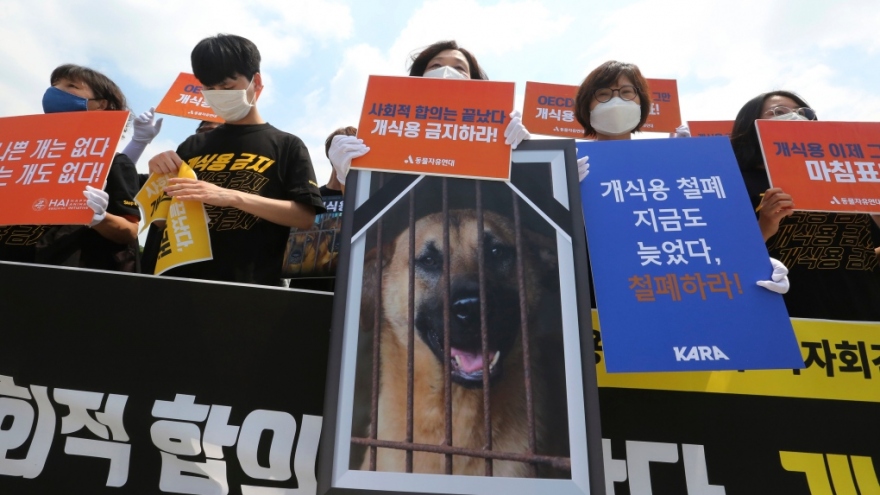 Hàn Quốc thông qua dự luật cấm tiêu thụ thịt chó