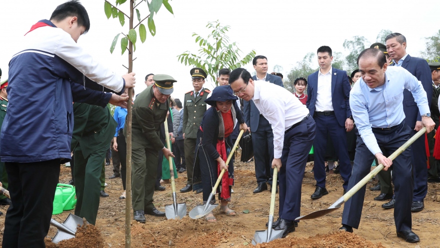 Chủ tịch nước: "Mỗi cây được trồng là món quà vô giá gửi đến tương lai"