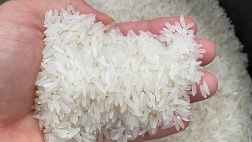 Campuchia thúc đẩy canh tác bền vững và tăng cường xuất khẩu gạo