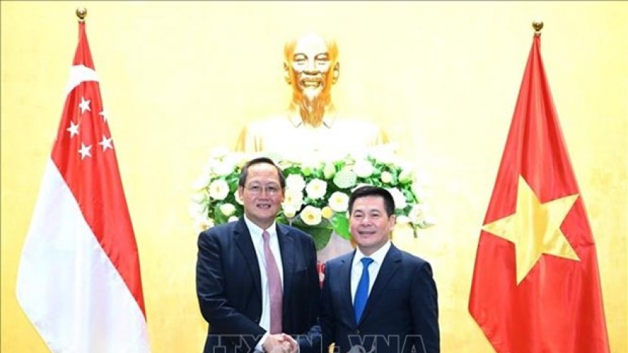 Vietnam, Singapore deepen economic, energy cooperation