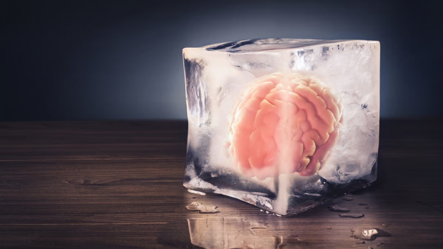 Trung Quốc: Hồi sinh thành công mô não người đông lạnh trong 18 tháng