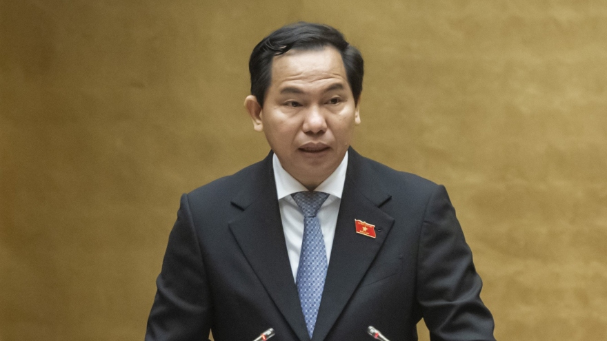 Quốc hội xem xét cho thí điểm thành lập Khu thương mại tự do ở Đà Nẵng