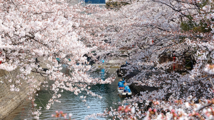 Sách trắng du lịch Nhật Bản: Cần xử lý thích đáng tình trạng quá tải du lịch