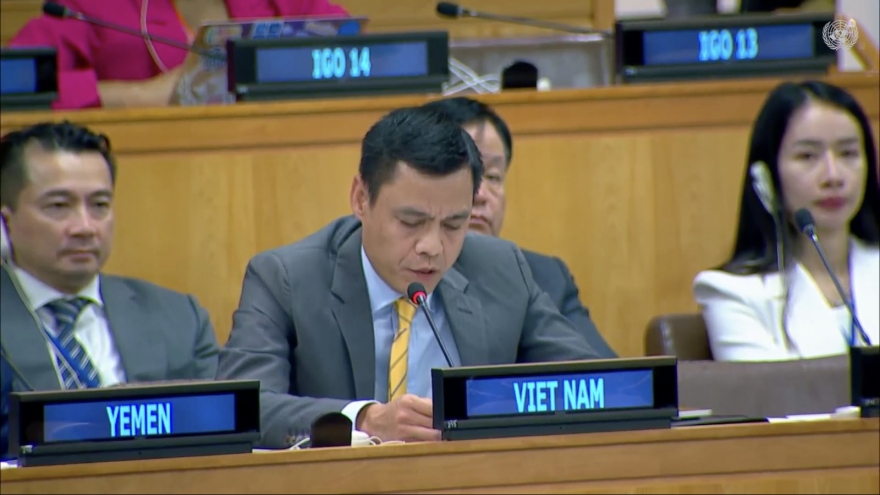 Việt Nam có hệ thống quy định chặt chẽ đấu tranh chống buôn bán trái phép vũ khí