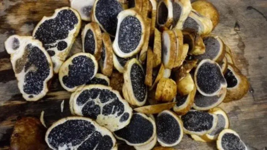 Loại nấm đen sì tưởng là đồ bỏ đi nhưng có hương vị thơm ngon đặc biệt