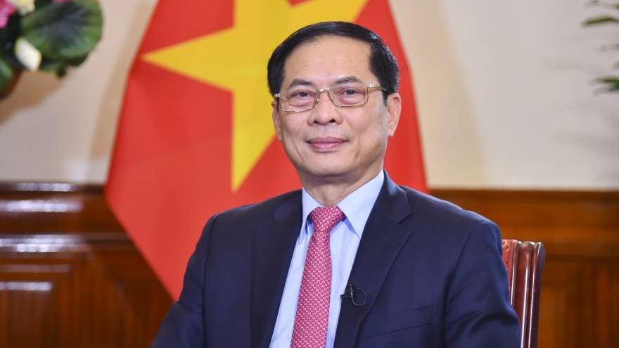 Bộ trưởng Bùi Thanh Sơn: Hiệp định Geneve là mốc son chói lọi của ngoại giao Việt Nam
