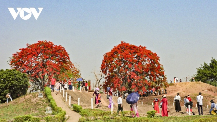 Điện Biên dự kiến tổ chức Lễ hội khinh khí cầu vào đầu tháng 9