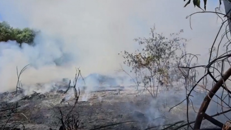Truy tìm đối tượng gây ra nhiều vụ cháy rừng ở Quảng Trị