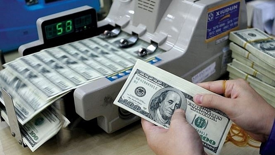 Tỷ giá USD hôm nay 21/8: Tỷ giá trung tâm giảm về mức 24.246 đồng/USD