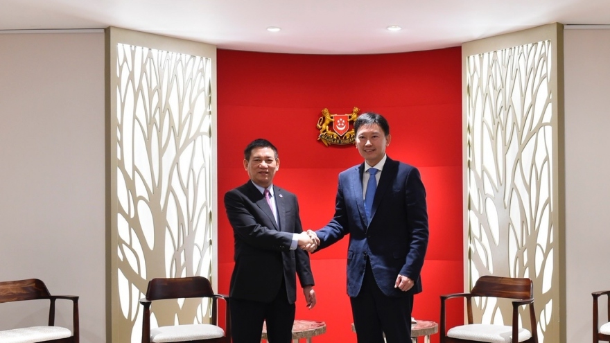 Việt Nam - Singapore hợp tác trong lĩnh vực chứng khoán, tài chính