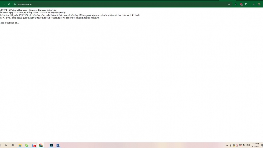 Hệ thống hải quan điện tử bị tê liệt