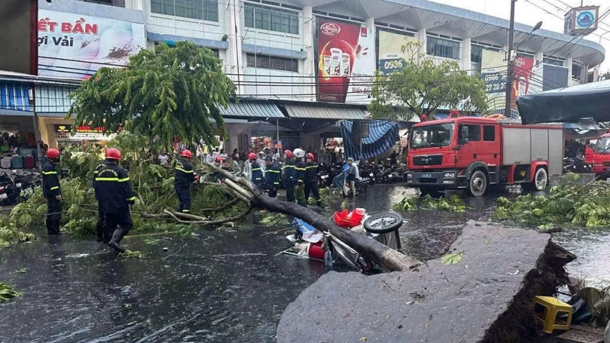 Mưa to, cây bật gốc đè 1 người bị thương ở Đà Nẵng