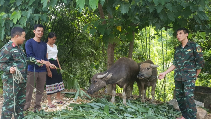 Dấu ấn lực lượng vũ trang Quân khu 4 trong lòng dân