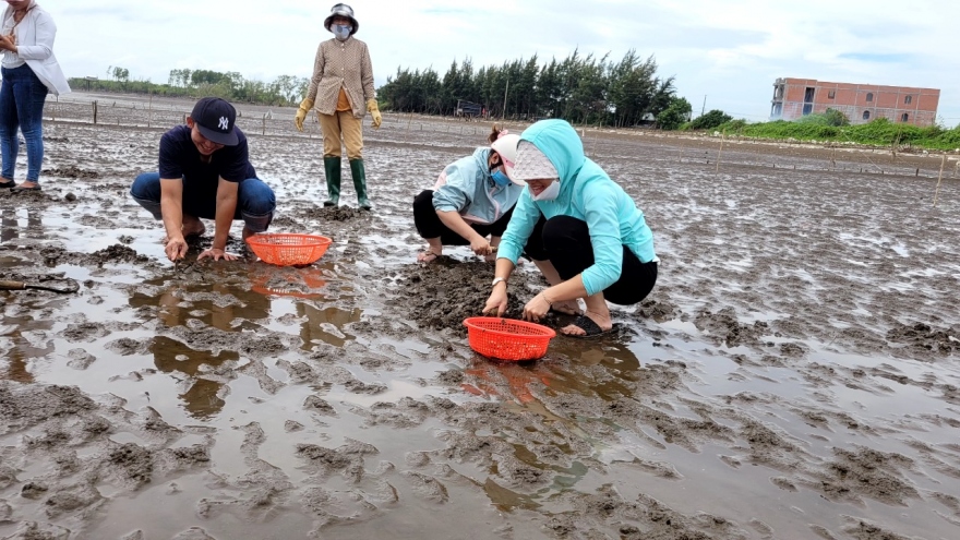 Tiền Giang kiến nghị họp kiểm điểm, rút kinh nghiệm 15 cán bộ huyện Gò Công Đông