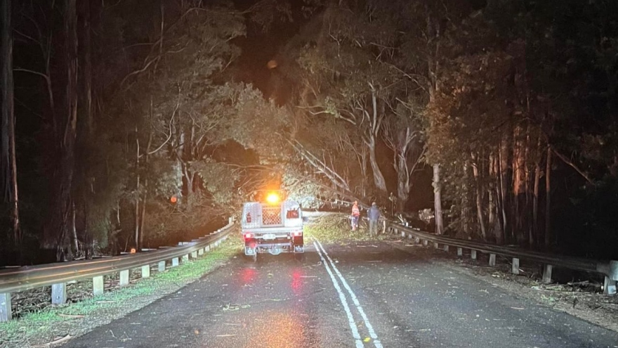 Mưa lớn khiến hàng chục nghìn người Australia không có điện sinh hoạt