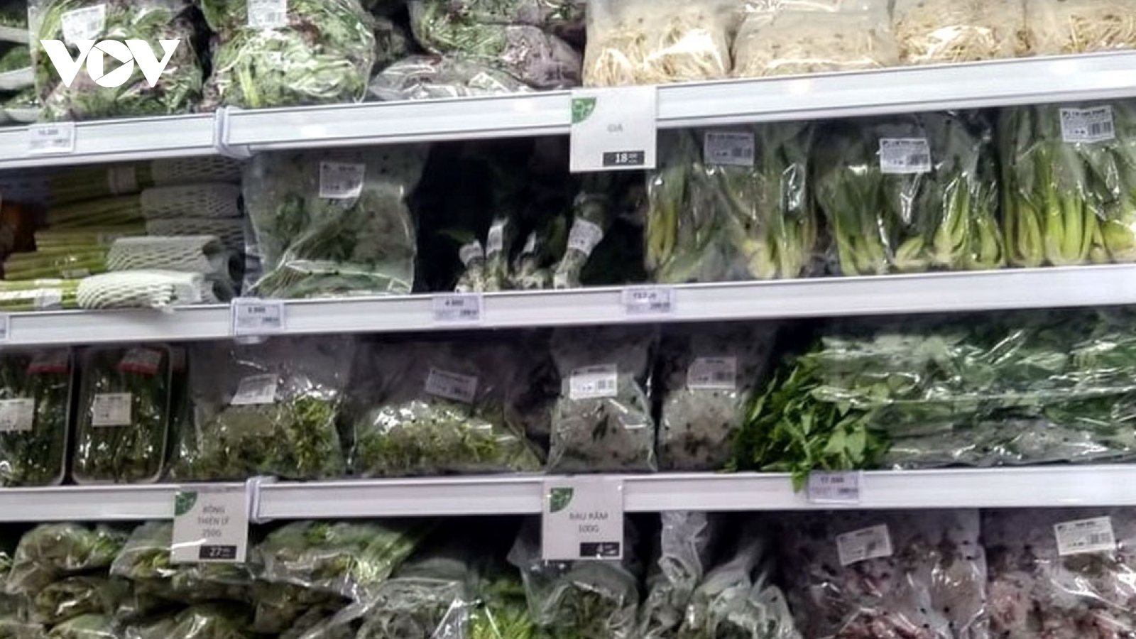 Thị trường Hà Lan: Cửa ngõ cho rau, củ, quả Việt Nam rộng cửa vào EU