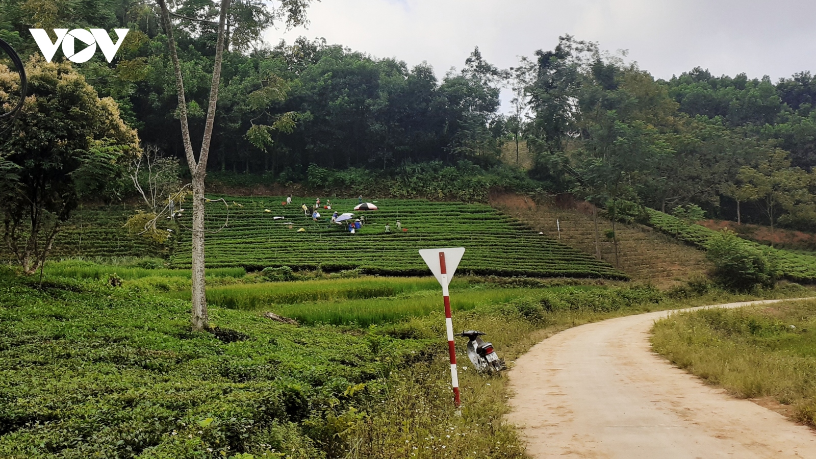 Thái Nguyên làm gì  để chương trình xóa nghèo bền vững đi vào cuộc sống