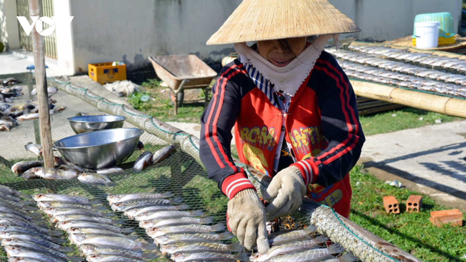 Đặc sản cá bổi Cà Mau mất giá ngay đầu vụ