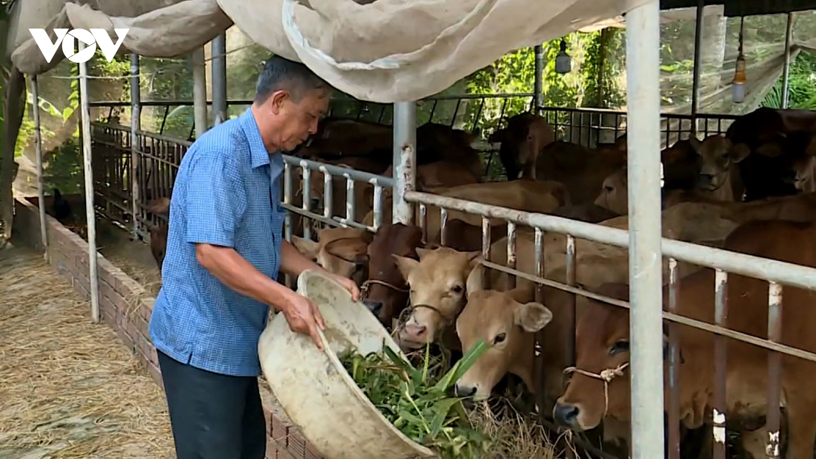 "Nông dân Việt Nam xuất sắc" Dương Văn Tạo luôn hết lòng vì hộ nghèo