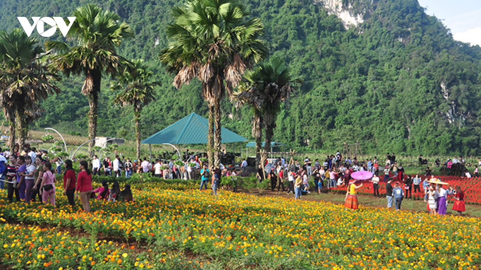 Lễ hội Du lịch “Về miền đất Ngọc” sẽ diễn ra vào đầu tháng 12