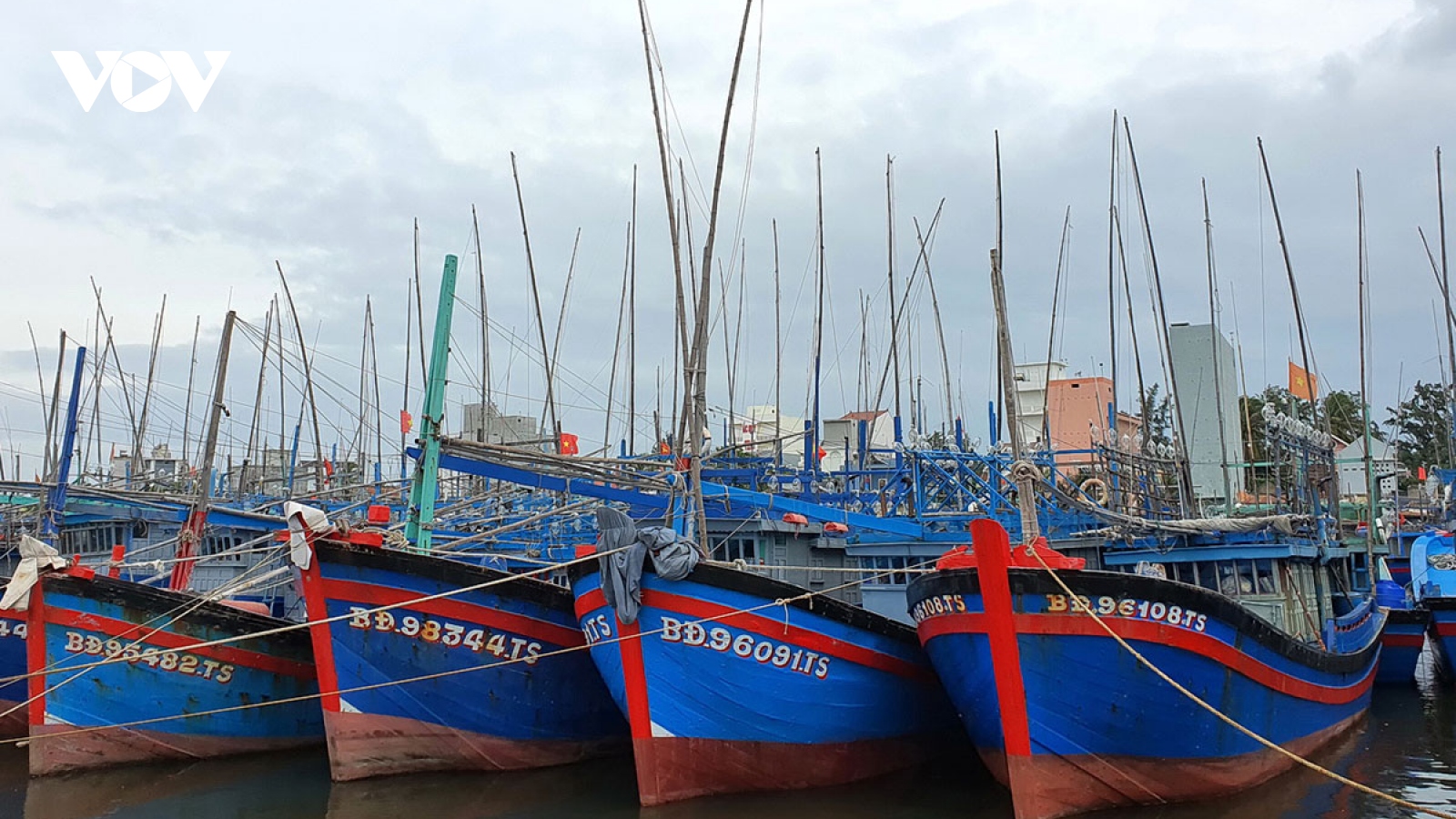 Còn 9 tàu cá Bình Định nằm trong vùng ảnh hưởng bão số 12