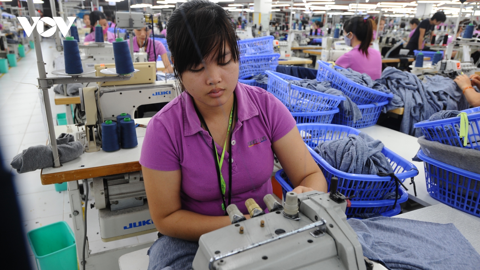 Nhiều mặt hàng của Việt Nam đã ngay lập tức được hưởng lợi từ EVFTA