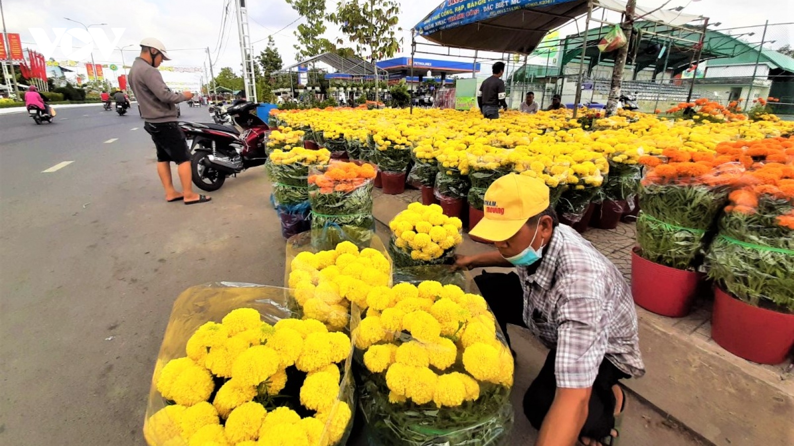 Chợ hoa Tết Cà Mau: Ít người mua bán nhưng vẫn nhộn nhịp