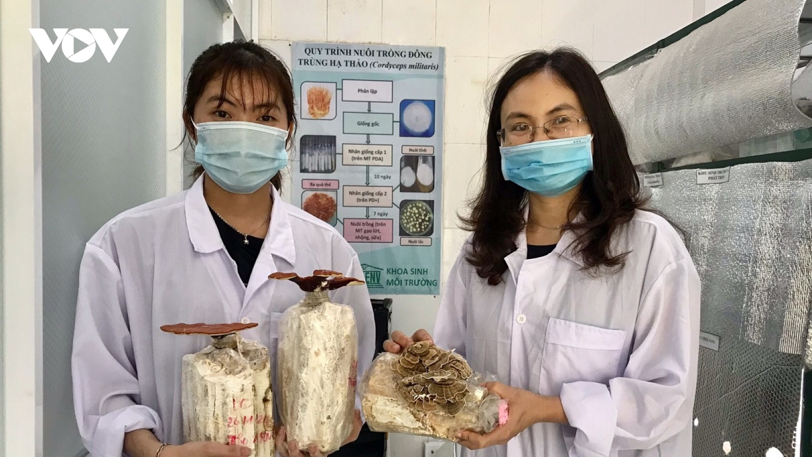 Sinh viên Đà Nẵng khởi nghiệp làm trà hoa nấm thiên nhiên