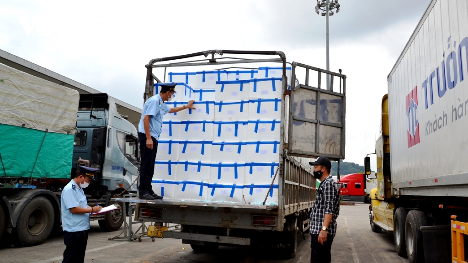 Trên 3.400 tấn vải chín sớm xuất khẩu qua Lào Cai