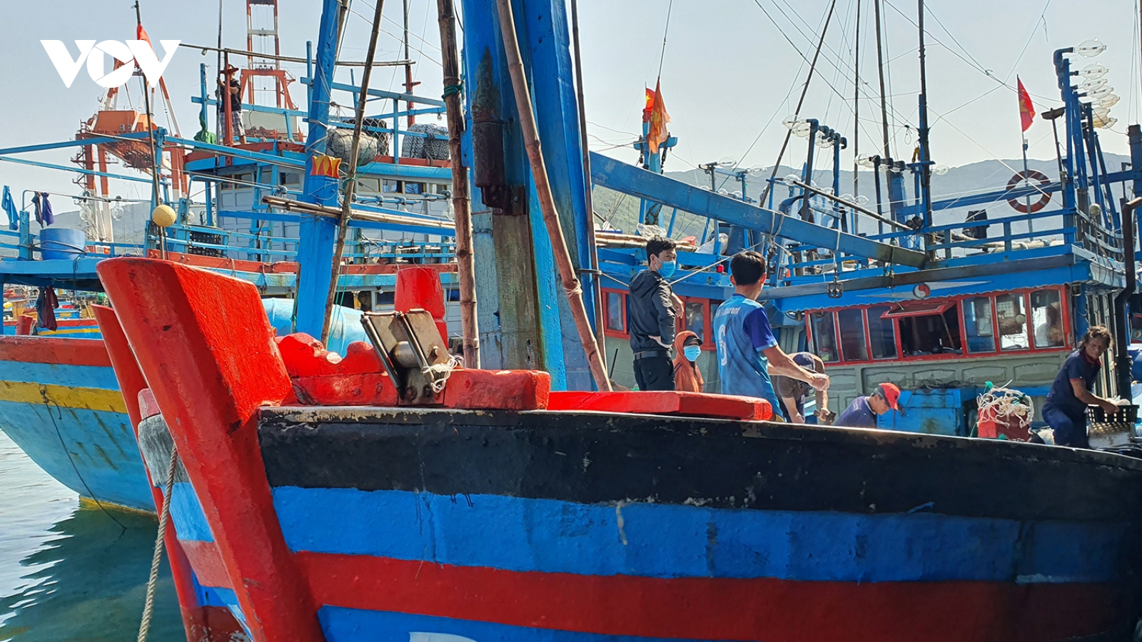 Ngư dân rơi xuống biển mất tích tại Bình Định