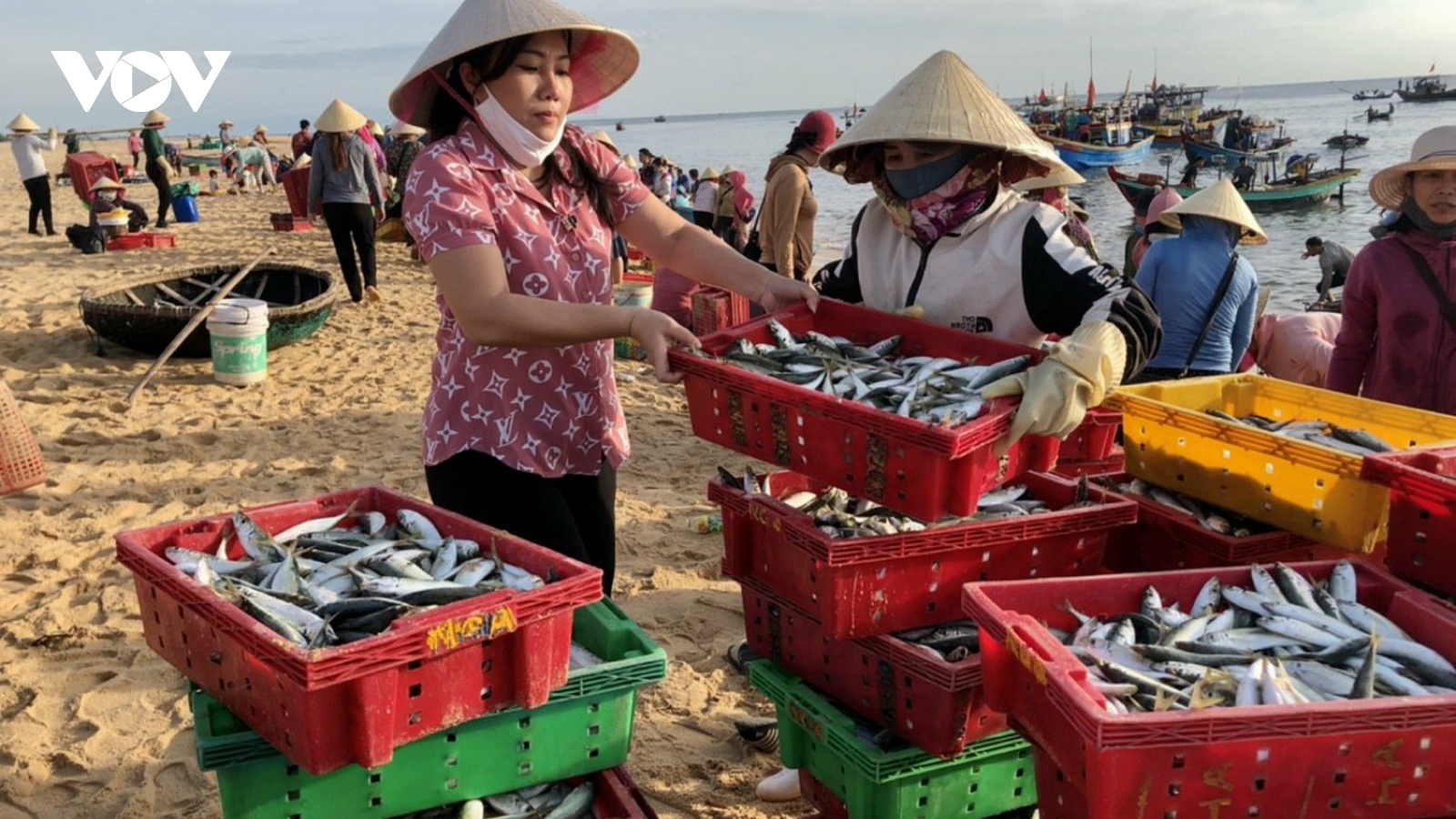 Góp cá gửi người dân vùng dịch ở thành phố Hồ Chí Minh