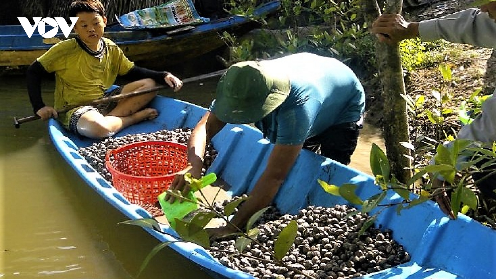 Giá nhiều loại nông sản, thủy sản ở Cà Mau giảm mạnh