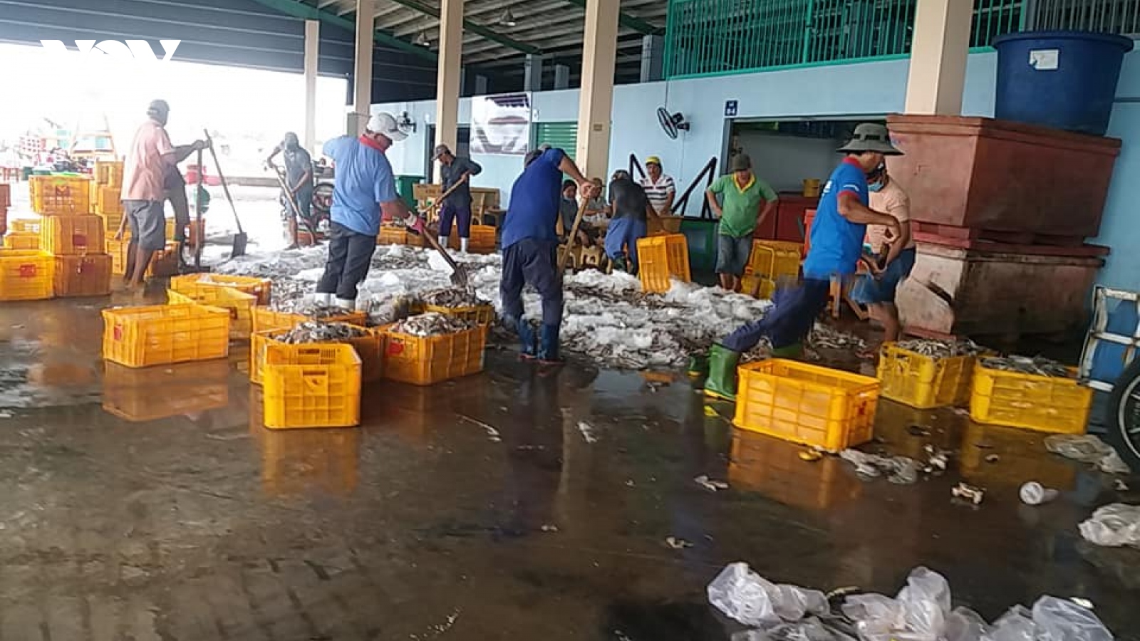 Tiền Giang: Cảng cá Vàm Láng đảm bảo an toàn, thông suốt hàng hóa cho ngư dân