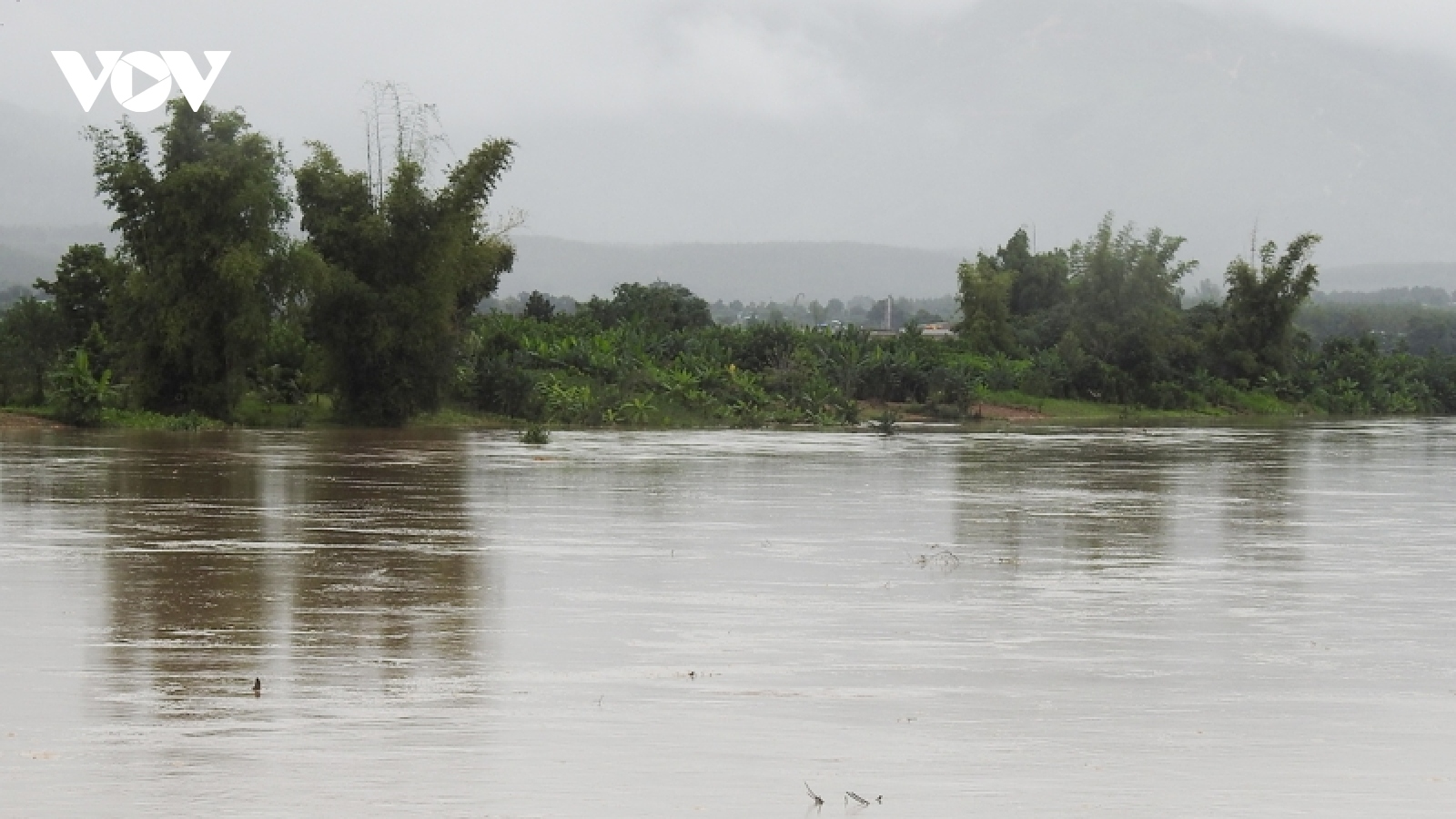 Phát hiện một thi thể nam giới trôi trên sông Pô Kô trong mưa lũ