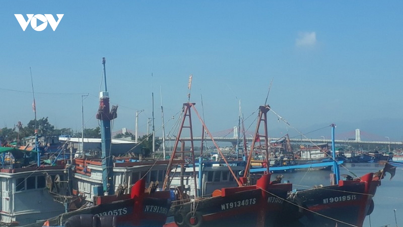 Ninh Thuận tạm dừng hoạt động Cảng cá Đông Hải để phòng dịch