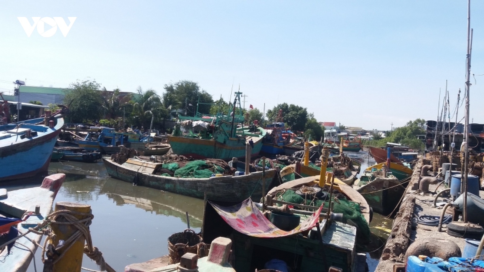 Tiêu thụ hải sản gặp khó, hơn nửa số tàu cá Tiền Giang nằm bờ