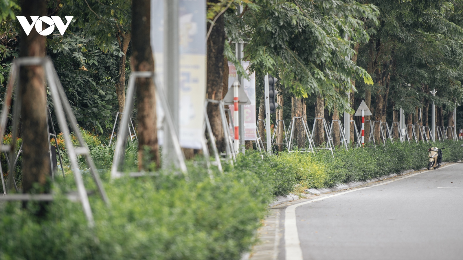Hàng cây xanh bị khung sắt "bóp nghẹt" trên đường Phạm Văn Đồng, Hà Nội