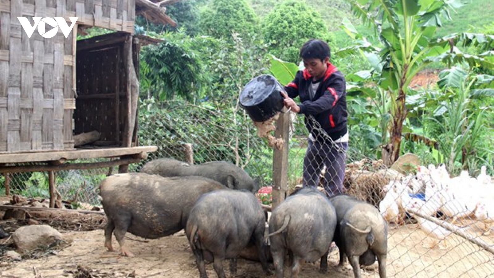 Quảng Nam nâng cao hiệu quả giảm nghèo bền vững